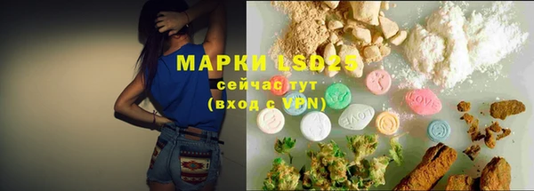 прущие грибы Инсар