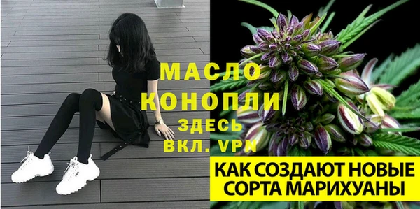 прущие грибы Инсар