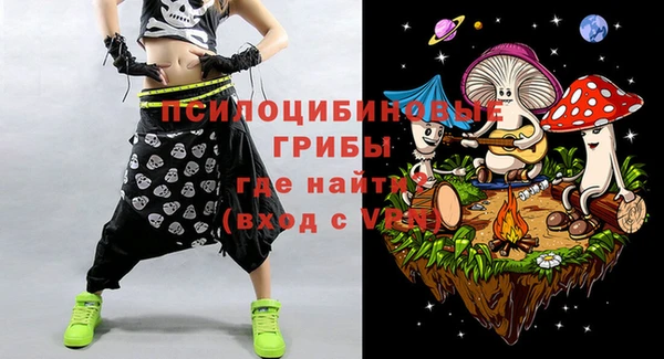 метадон Инта
