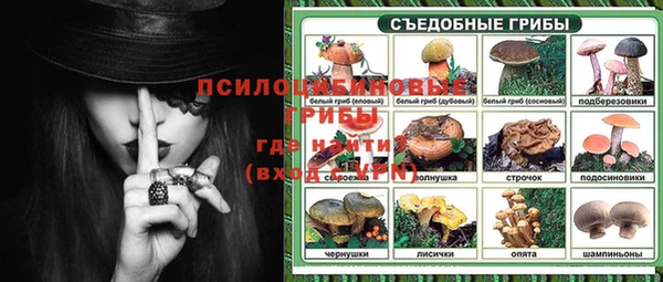 прущие грибы Инсар