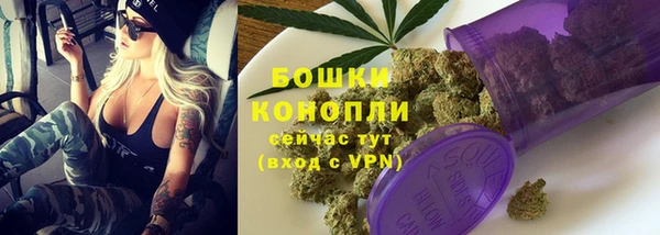 прущие грибы Инсар
