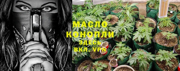 прущие грибы Инсар