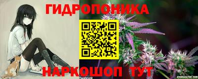 PSILOCYBIN Свободный