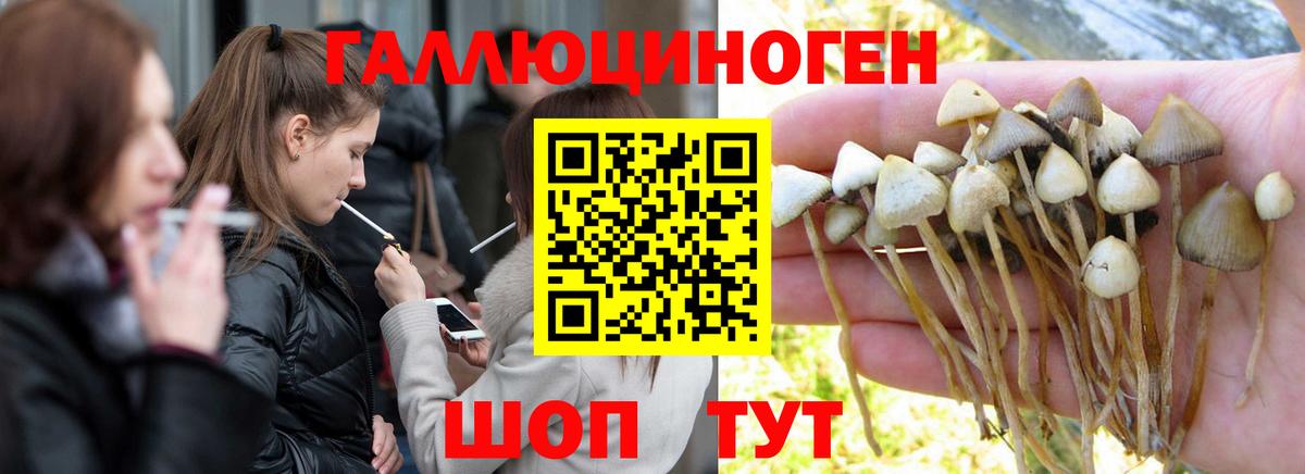 Галлюциногенные грибы мицелий  Вход с VPN  Муром 
