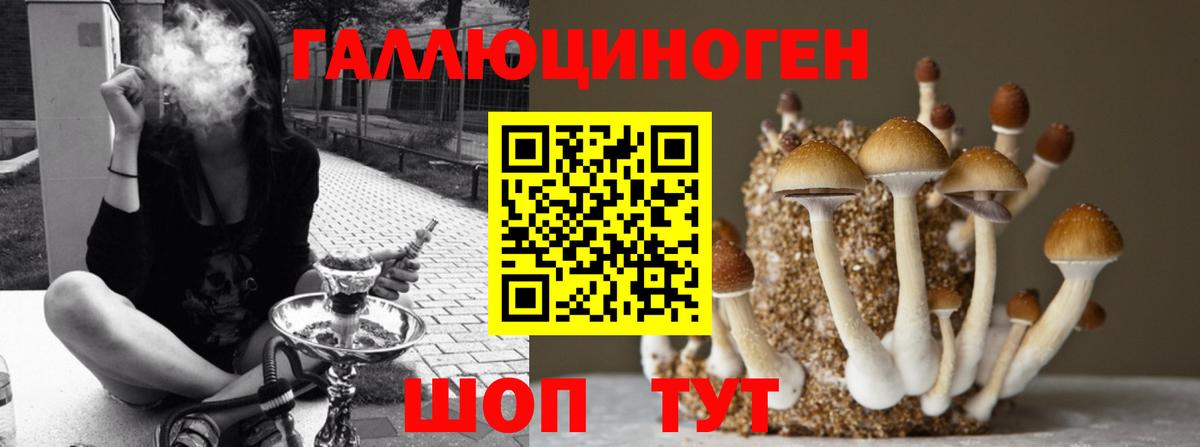 Галлюциногенные грибы мухоморы Муром
